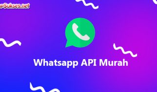 api whatsapp murah